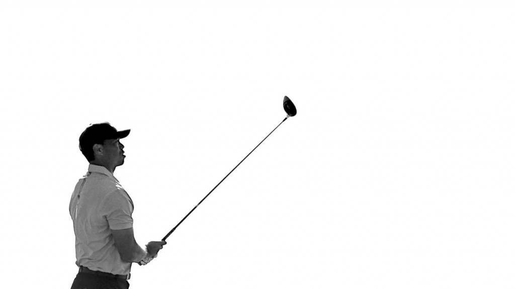 tiger woods 1