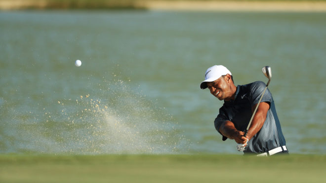 tiger4